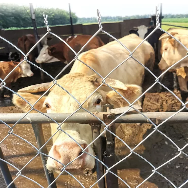 Reliable And Cost-Effective Security Solution For Modern Properties